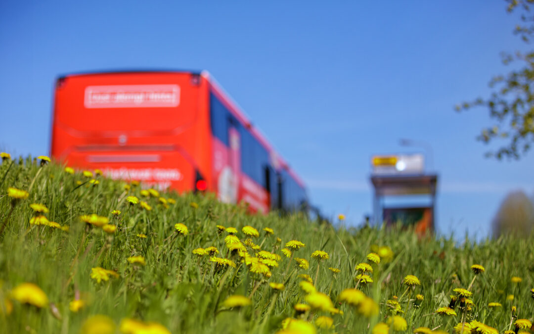 Killontorintien bussien kääntöpaikan katusuunnitelma nähtävillä